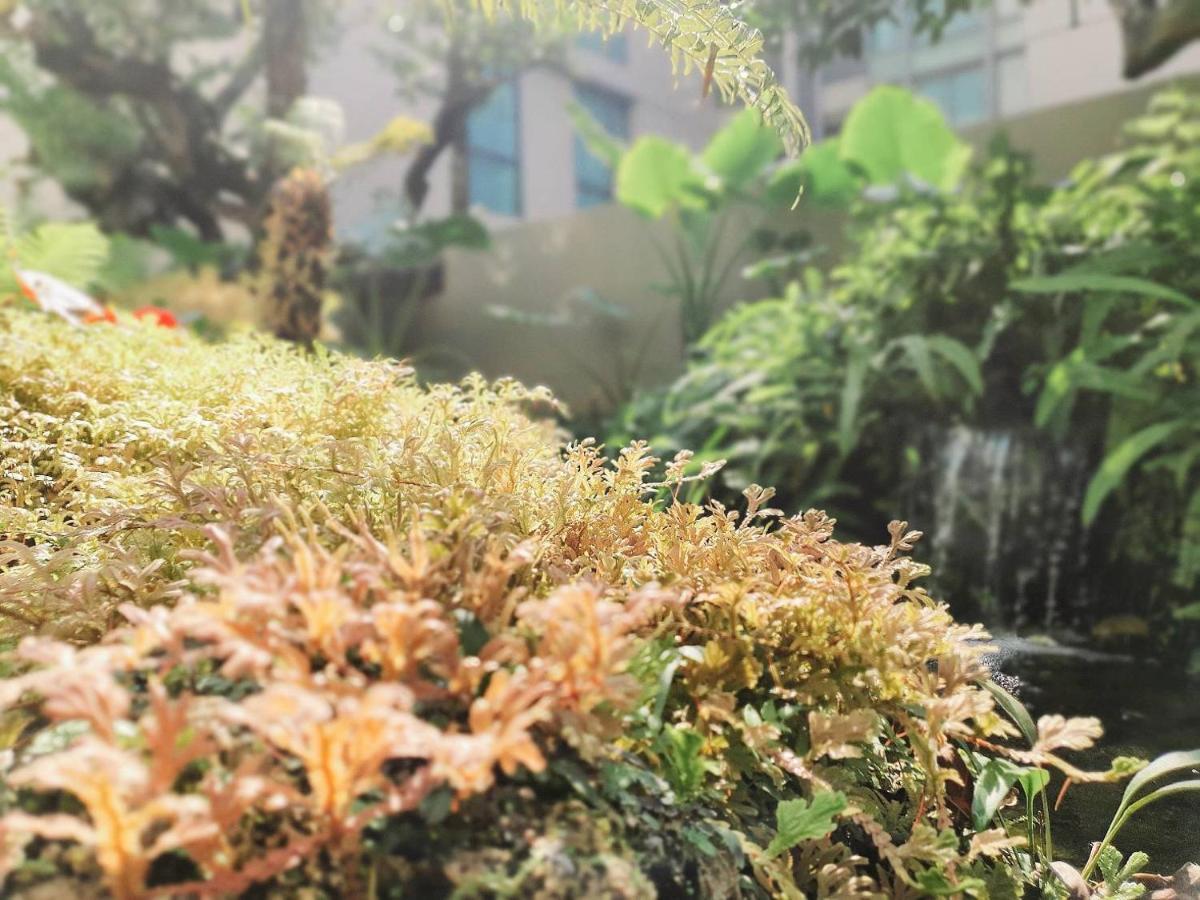 Ana Park 4* Chiang Mai